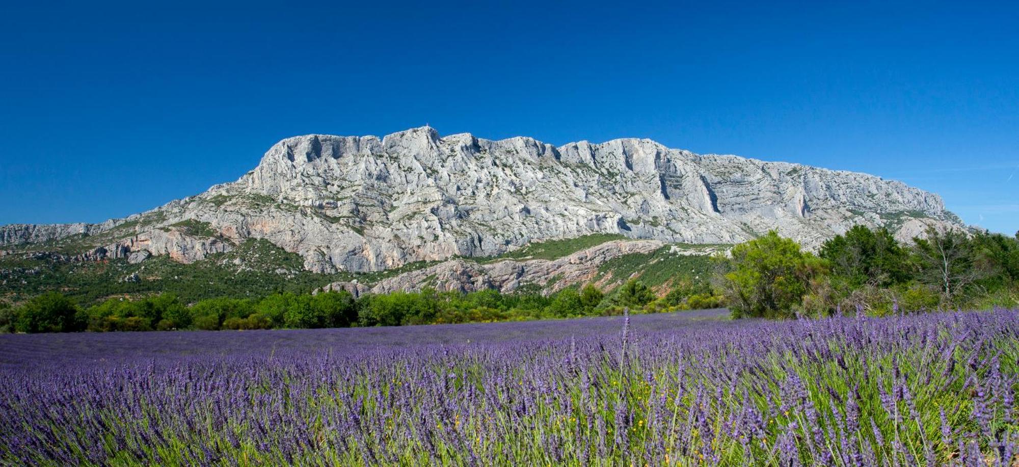Roucas - Sud Passion - Calme - Fibre Διαμέρισμα Μασσαλία Εξωτερικό φωτογραφία